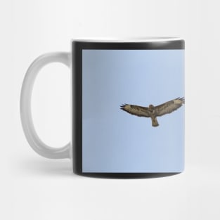 Hawk gliding on blue sky background Mug